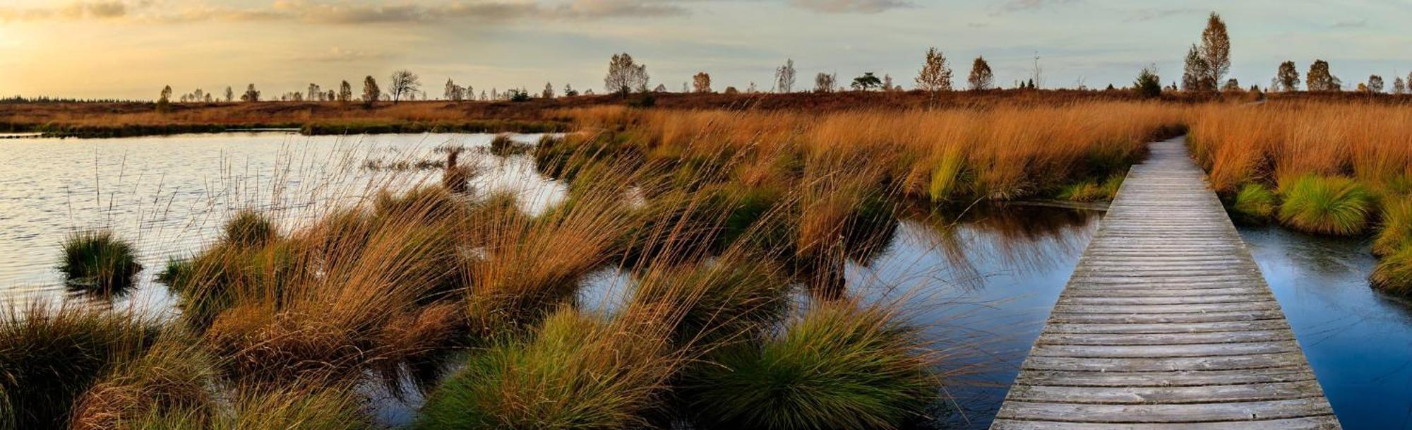 Holiday Inn Express Pascagoula-Moss Point By Ihg Eksteriør bilde